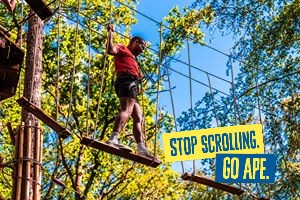 Go Ape Buckinghamshire